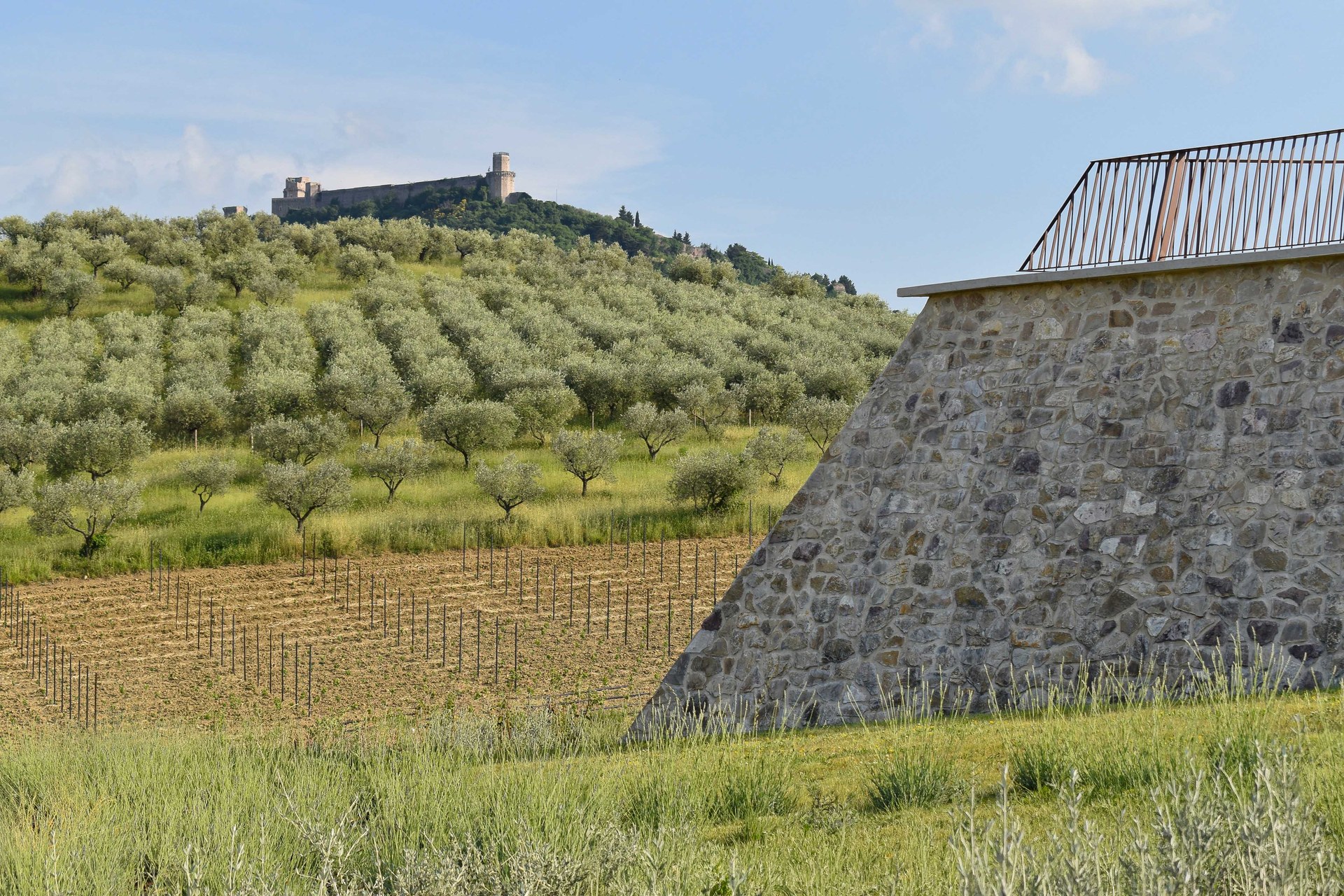 Stone bastion of Agriturismo Alma with the Rocca Maggiore of Assisi above the olive grove — Alessandro Buffi Architect